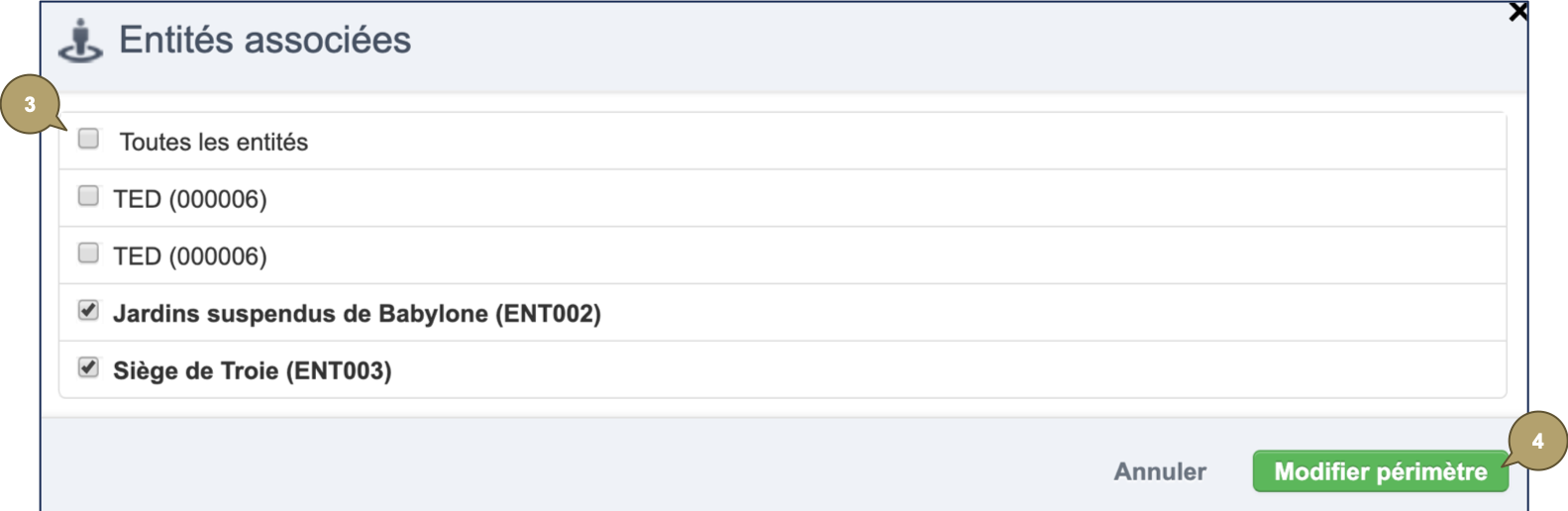 Entity_Associate_FR.png