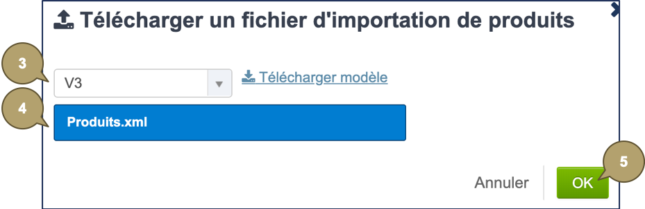 Transaction_Import_XML_FR.png