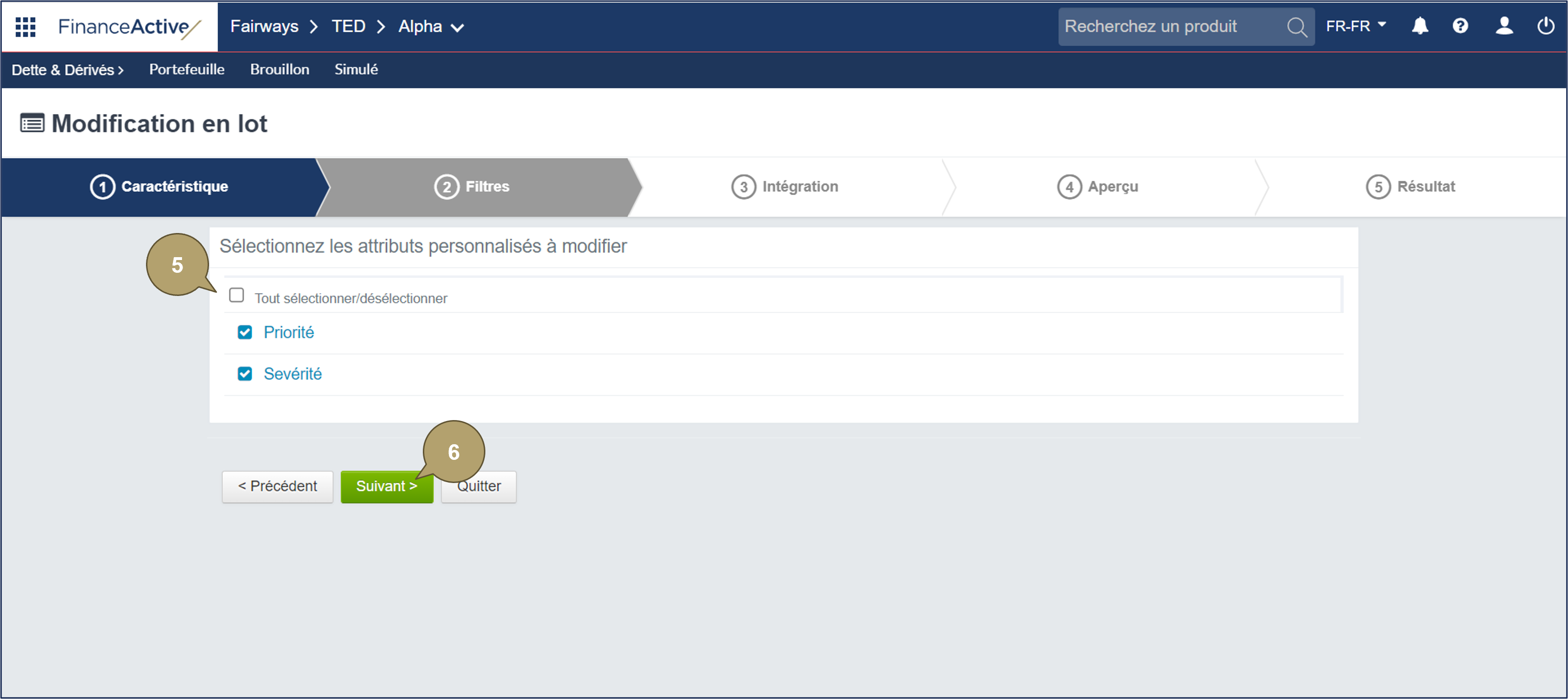 Modification_Mass_Filter_Property_Custom_FR.png